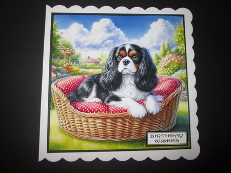 Summer Days Dogs 10 by BELINDA ABRAHAM