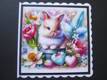 Easter Bunnie  by BELINDA ABRAHAM