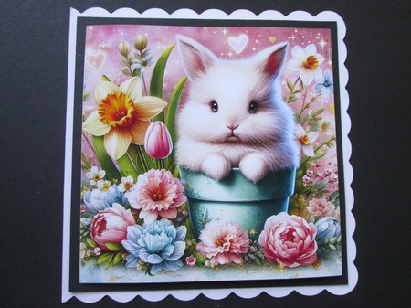 Easter Bunnie  by BELINDA ABRAHAM