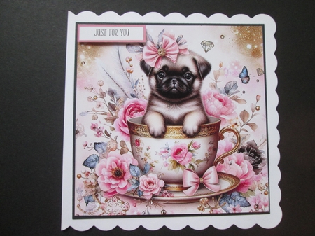 Teacup Pups 3 by BELINDA ABRAHAM