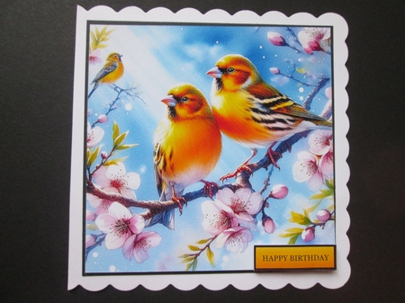 Canaries by BELINDA ABRAHAM