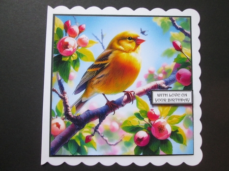 Canaries by BELINDA ABRAHAM