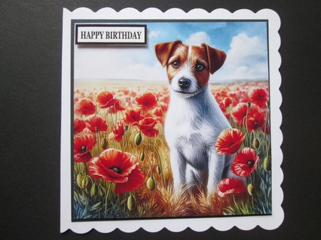 Beautiful Poppy Field Dogs 9 by BELINDA ABRAHAM