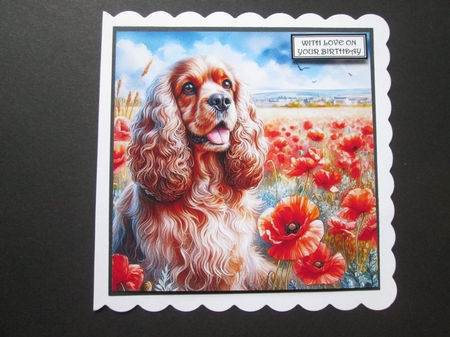 Beautiful Poppy Field Dogs 9 by BELINDA ABRAHAM