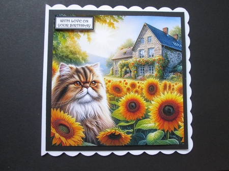 Sunshine Flower Cats 3 by BELINDA ABRAHAM