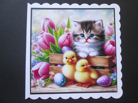 Easter Ducklings & Kittens by BELINDA ABRAHAM