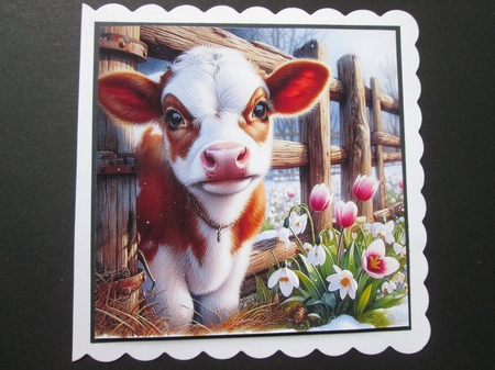Spring Morning Calf by BELINDA ABRAHAM