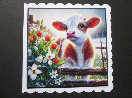 Spring Morning Calf by BELINDA ABRAHAM