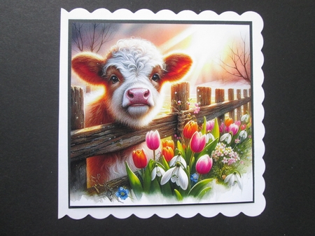 Spring Morning Calf by BELINDA ABRAHAM