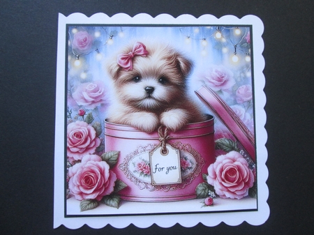 Just For You Pups by BELINDA ABRAHAM
