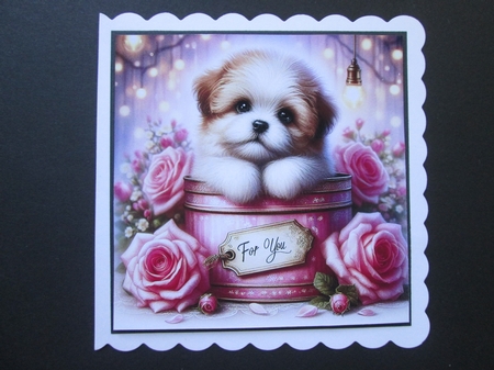 Just For You Pups by BELINDA ABRAHAM