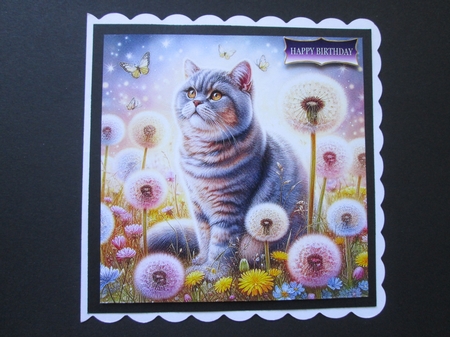 Wishing Meadow Cats 2 by BELINDA ABRAHAM