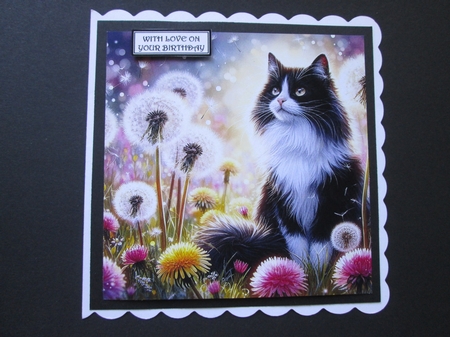 Wishing Meadow Cats 2 by BELINDA ABRAHAM
