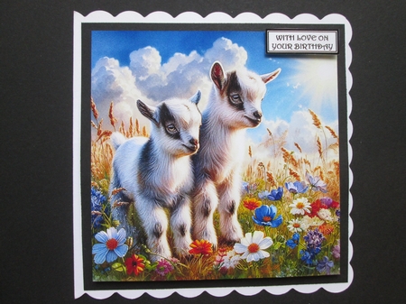 Kid Summer Meadow by BELINDA ABRAHAM