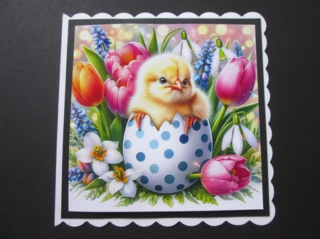 Easter Chicks by BELINDA ABRAHAM
