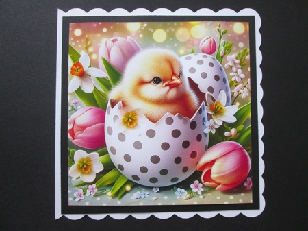 Easter Chicks by BELINDA ABRAHAM