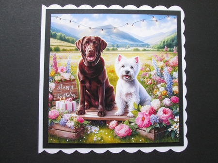 Birthday Dogs by BELINDA ABRAHAM