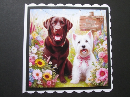 Birthday Dogs by BELINDA ABRAHAM