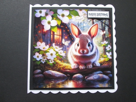Waterside Bunnie by BELINDA ABRAHAM