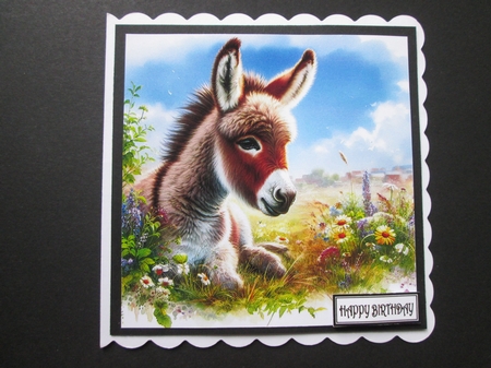 Spring Meadow Donkey  by BELINDA ABRAHAM