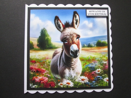 Spring Meadow Donkey  by BELINDA ABRAHAM
