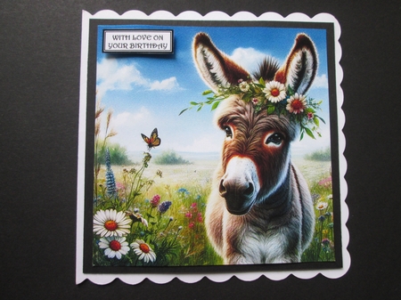 Spring Meadow Donkey  by BELINDA ABRAHAM