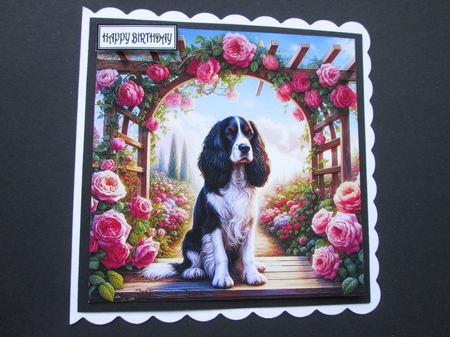 TrellyRose Dogs 4 by BELINDA ABRAHAM