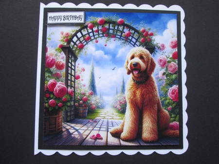 TrellyRose Dogs 4 by BELINDA ABRAHAM