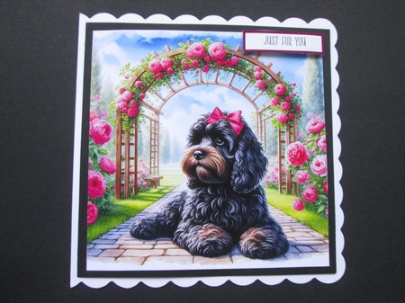 TrellyRose Dogs 5 by BELINDA ABRAHAM