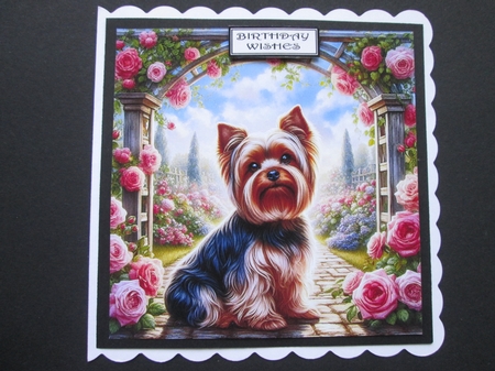 TrellyRose Dogs 5 by BELINDA ABRAHAM