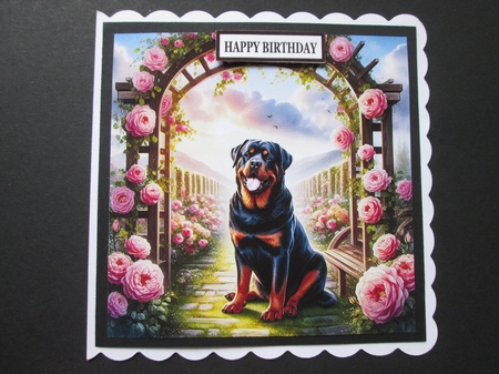 TrellyRose Dogs 7 by BELINDA ABRAHAM