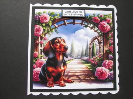 TrellyRose Dogs 7 by BELINDA ABRAHAM