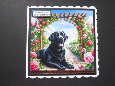 TrellyRose Dogs 10 by BELINDA ABRAHAM
