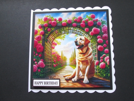 TrellyRose Dogs 10 by BELINDA ABRAHAM