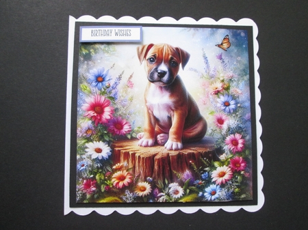 Tree Stump Pups 3 by BELINDA ABRAHAM
