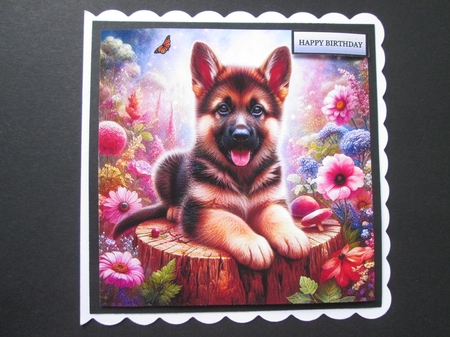Tree Stump Pups 4 by BELINDA ABRAHAM