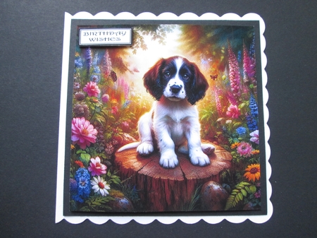 Tree Stump Pups 6 by BELINDA ABRAHAM