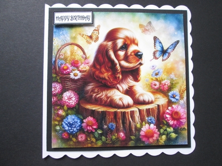 Tree Stump Pups 7 by BELINDA ABRAHAM