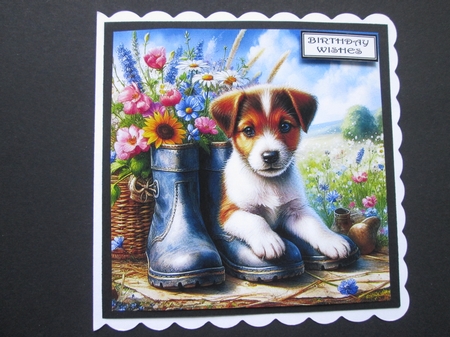 Sweet Floral Boot Pups 2 by BELINDA ABRAHAM