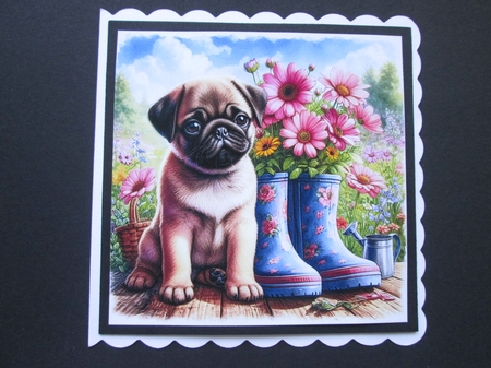 Sweet Floral Boot Pups 3 by BELINDA ABRAHAM