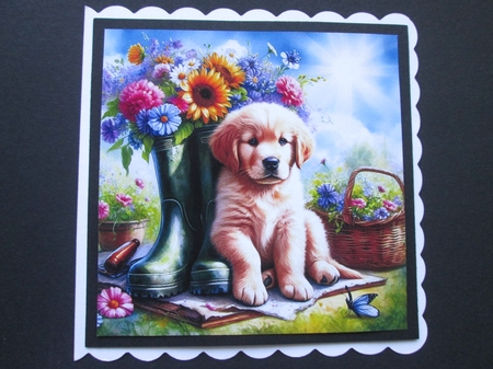Sweet Floral Boot Pups 3 by BELINDA ABRAHAM