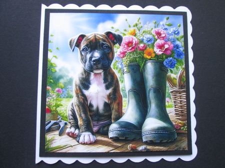 Sweet Floral Boot Pups 4 by BELINDA ABRAHAM