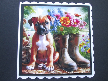 Sweet Floral Boot Pups 4 by BELINDA ABRAHAM