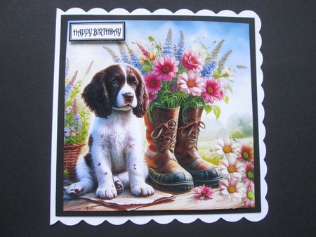 Sweet Floral Boot Pups 5 by BELINDA ABRAHAM