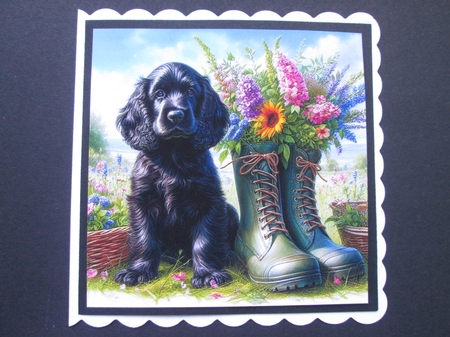 Sweet Floral Boot Pups 6 by BELINDA ABRAHAM