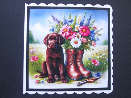Sweet Floral Boot Pups 6 by BELINDA ABRAHAM