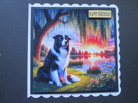 Willow Sunet Dogs 3 by BELINDA ABRAHAM