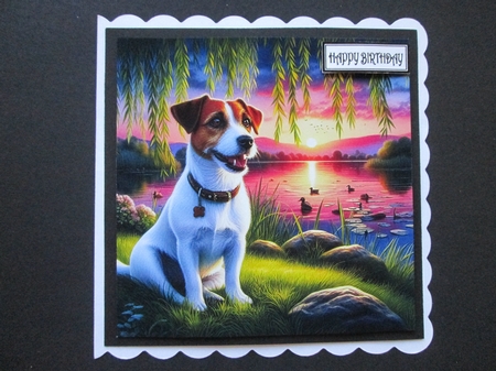 Willow Sunet Dogs 6 by BELINDA ABRAHAM