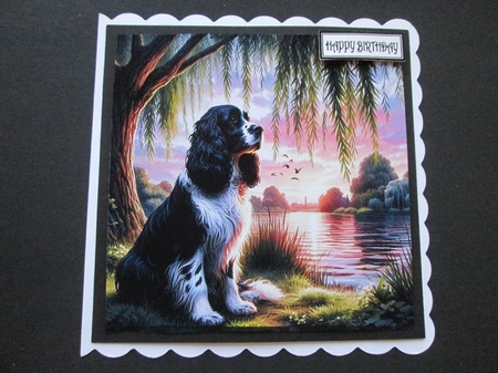 Willow Sunet Dogs 6 by BELINDA ABRAHAM