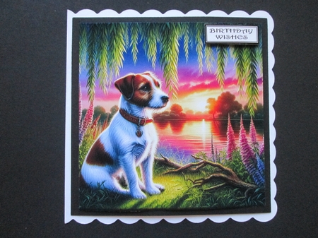 Willow Sunet Dogs 6 by BELINDA ABRAHAM